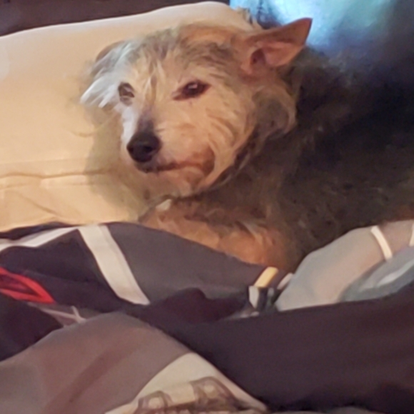 Meet your Posher, Tamara - Picture 4 of 11